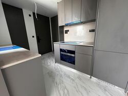 The Landmark (D3), Condominium #519813991